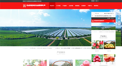 企業(yè)網(wǎng)站、程序軟件App解決方案